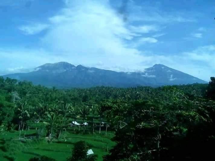 טטבאטו Girang Rinjani Bungalows מראה חיצוני תמונה