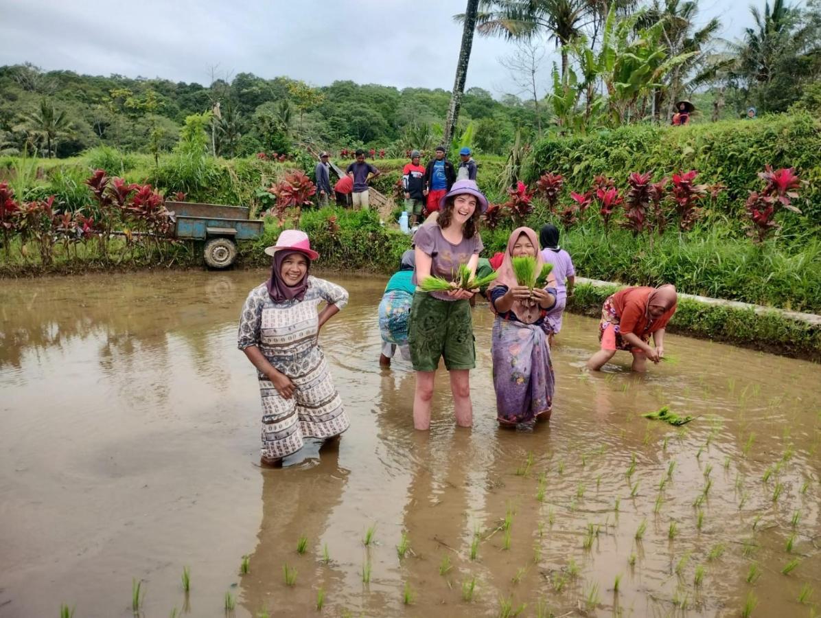 טטבאטו Girang Rinjani Bungalows מראה חיצוני תמונה