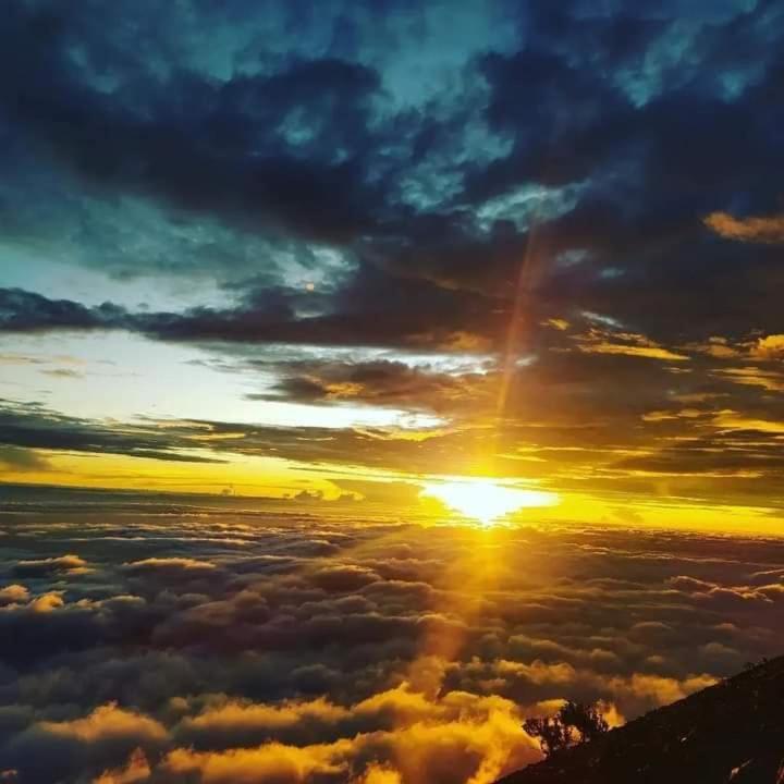 טטבאטו Girang Rinjani Bungalows מראה חיצוני תמונה