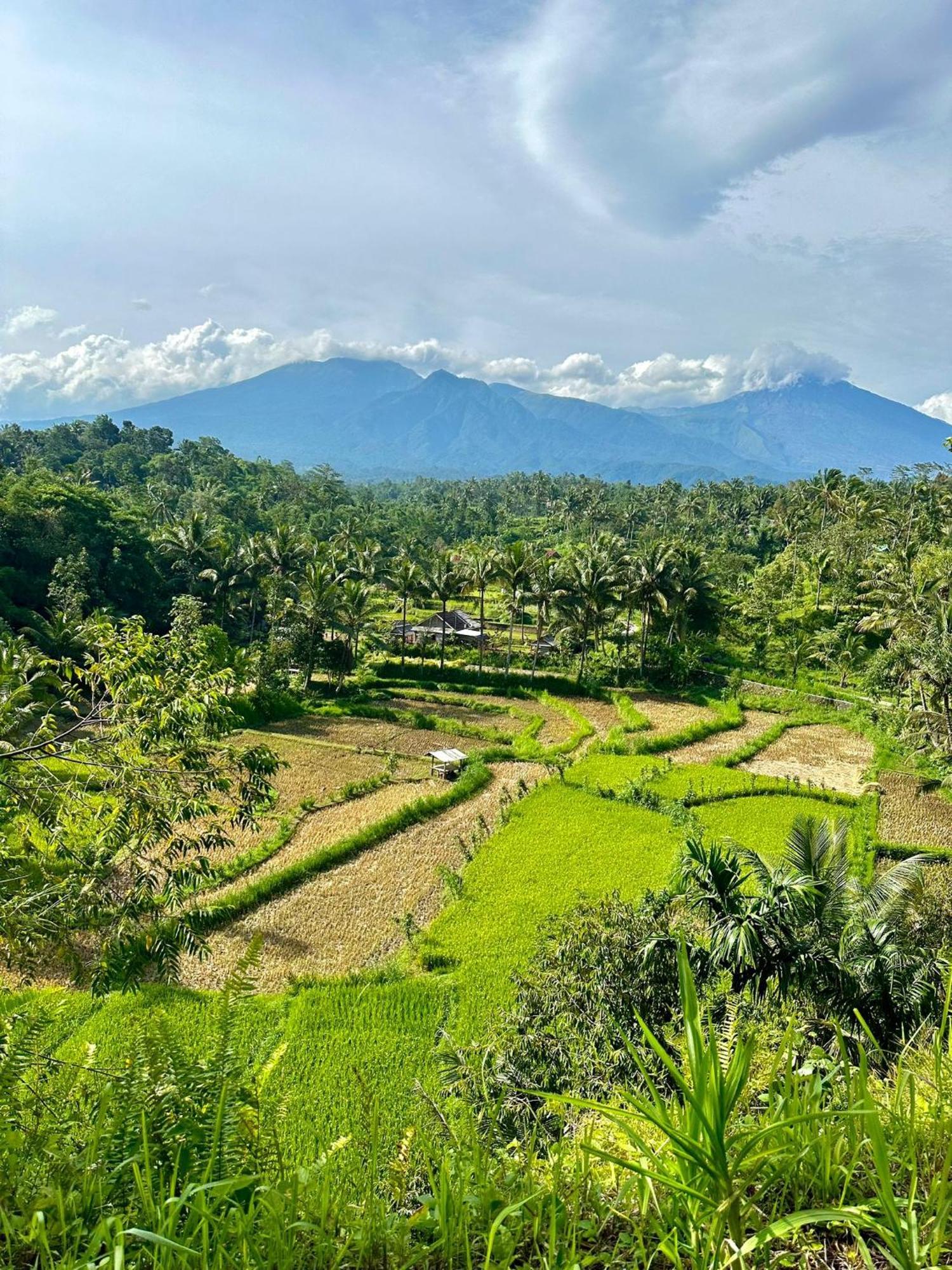 טטבאטו Girang Rinjani Bungalows מראה חיצוני תמונה