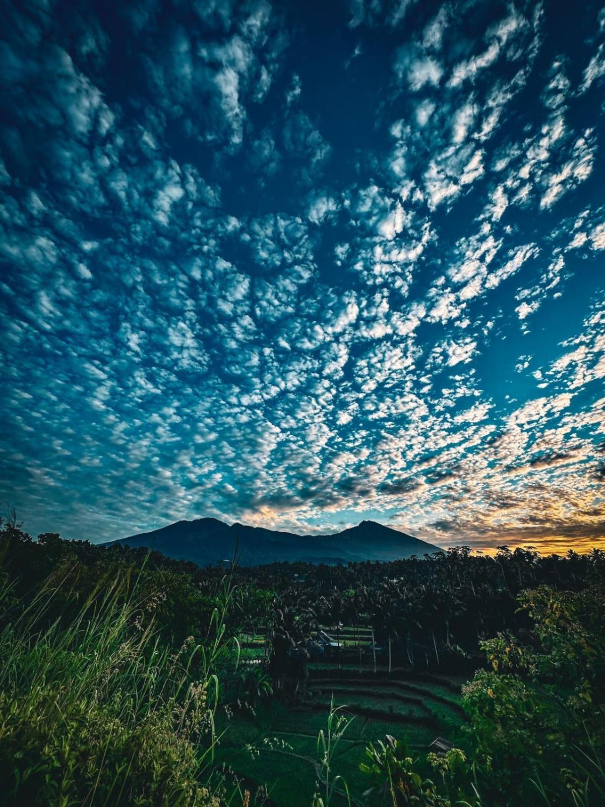 טטבאטו Girang Rinjani Bungalows מראה חיצוני תמונה