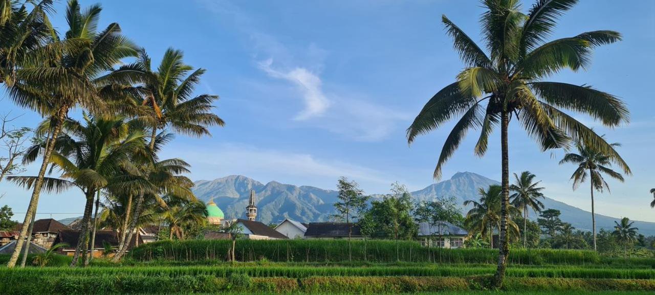 טטבאטו Girang Rinjani Bungalows מראה חיצוני תמונה