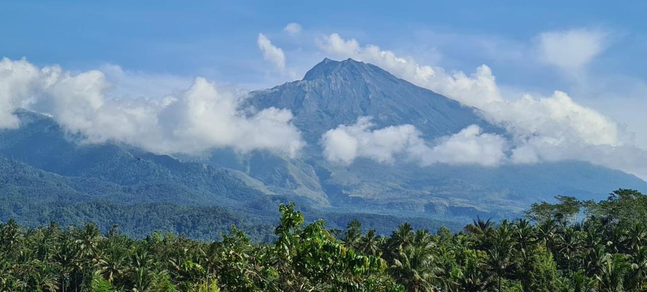 טטבאטו Girang Rinjani Bungalows מראה חיצוני תמונה