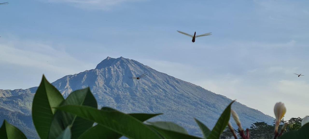 טטבאטו Girang Rinjani Bungalows מראה חיצוני תמונה