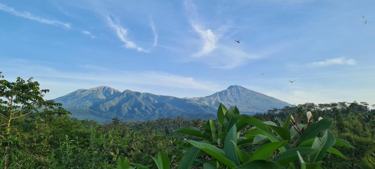 טטבאטו Girang Rinjani Bungalows מראה חיצוני תמונה