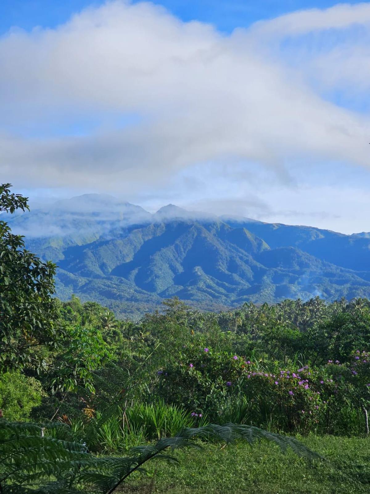 טטבאטו Girang Rinjani Bungalows מראה חיצוני תמונה